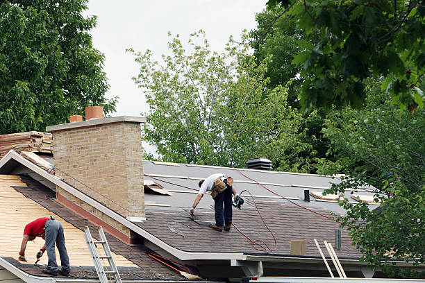 Best Roof Moss and Algae Removal  in Clinton, WA